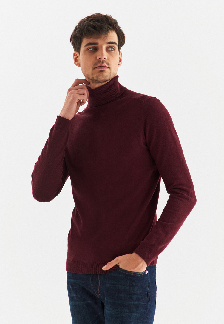 Vyšninis vyriškas golfas P22WF-2X-008-D-0