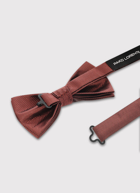 Ruda vyriška peteliškė struktūriniu raštu