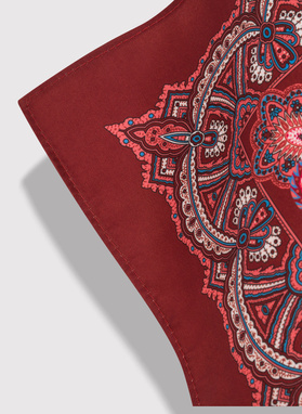 Vyšninė kišeninė nosinaitė peislio raštu