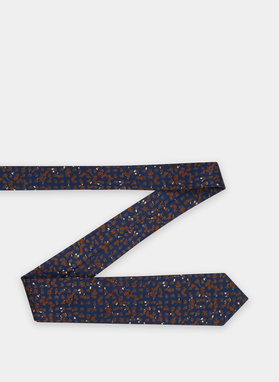 Šilkinis vyriškas kaklaraištis P21SP-KX-232-G-0