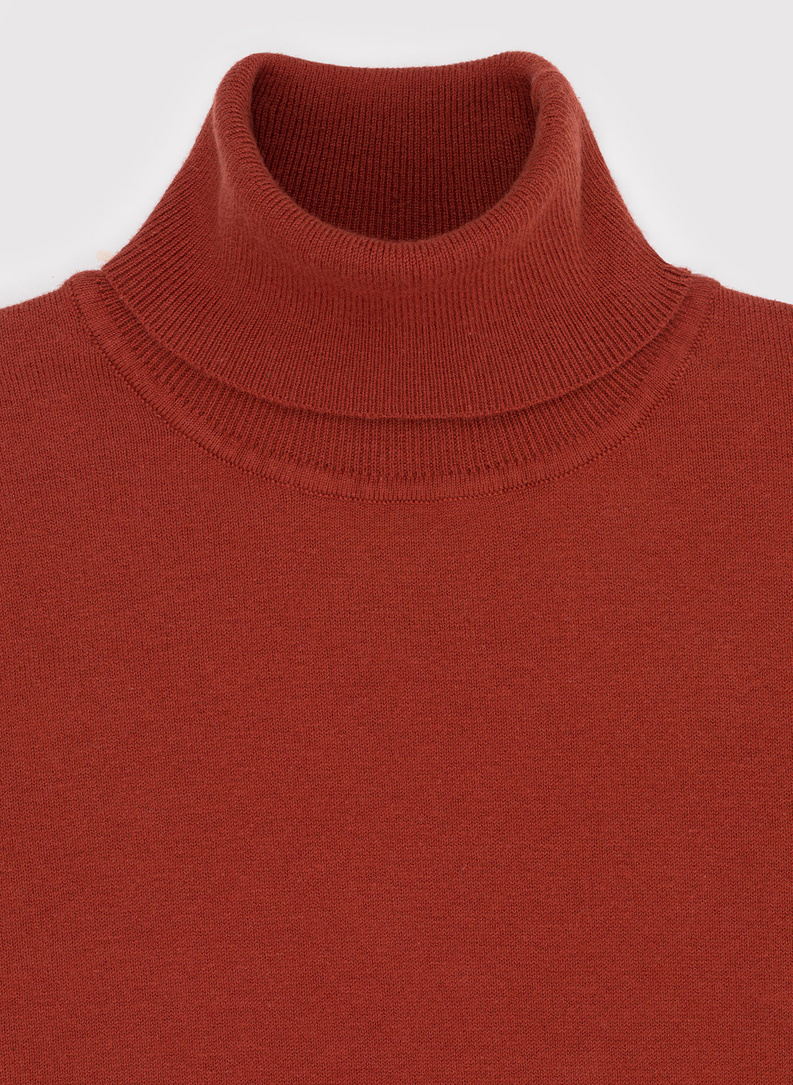 Rudas vyriškas golfas P22WF-2X-008-P-0