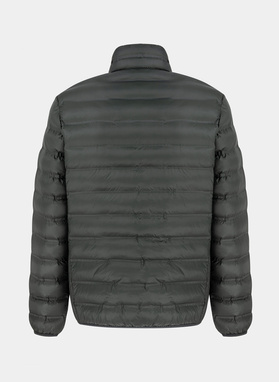 Striukė PETROPOLIS P20WF-5X-013-G