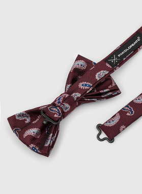 Vyšninė vyriška peteliškė peislio raštu