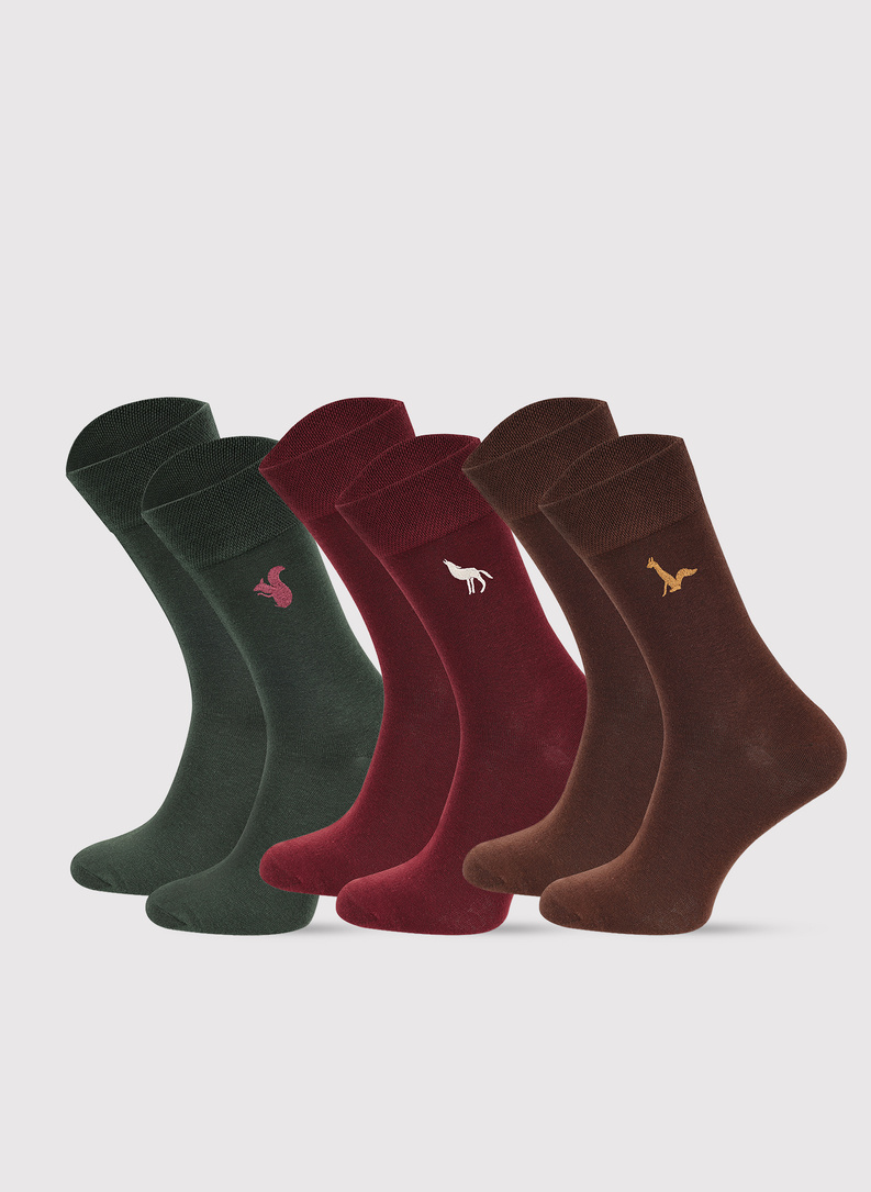 Vyriškų kojinių su gyvūnais komplektas