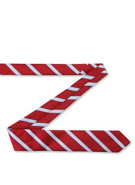 Vyriškas kaklaraištis PLM-KX-489-X