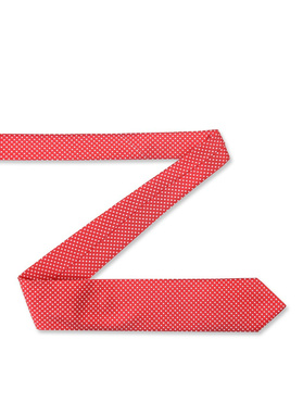 Vyriškas kaklaraištis PLM-KX-482-X