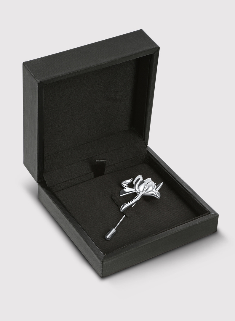 Vyriško švarko segtukas