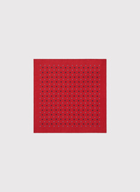 Vyriška kišeninė nosinaitė