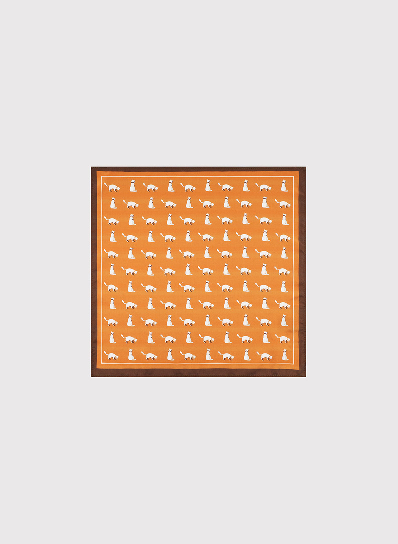 Oranžinė kišeninė nosinaitė su kačiukais