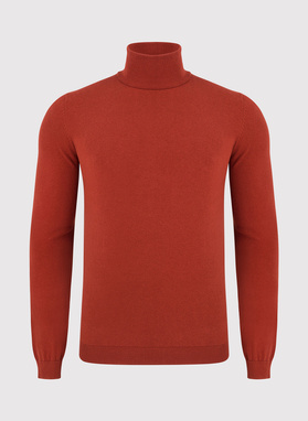 Rudas vyriškas golfas P22WF-2X-008-P-0