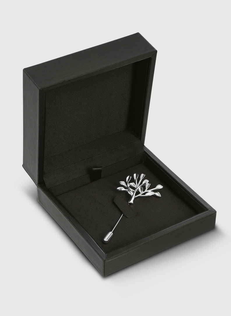 Vyriško švarko segtukas