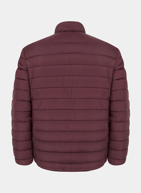 Striukė PETROPOLIS P20WF-5X-013-G