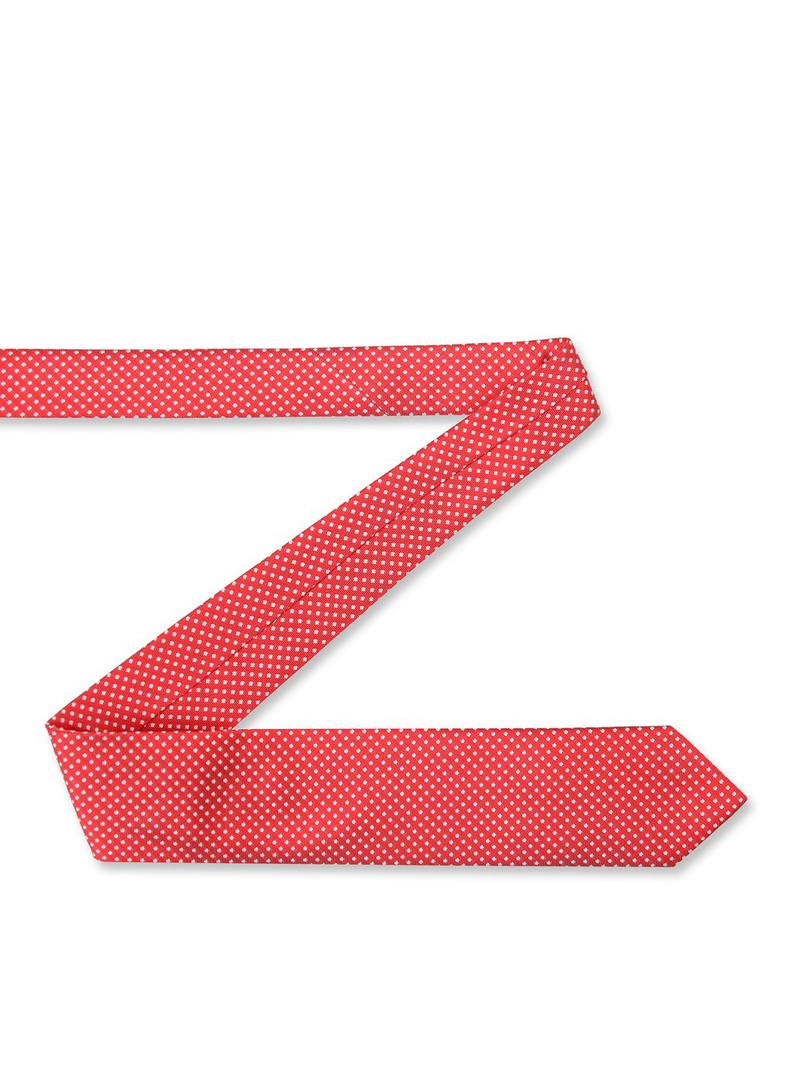 Vyriškas kaklaraištis PLM-KX-482-X