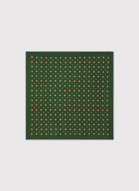 Žalia kišeninė nosinaitė taškais ir gėlytėmis