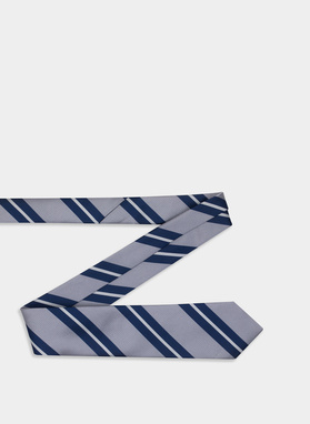 Pilkas vyriškas kaklaraištis P22SF-KX-008-S-0