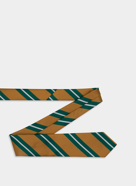 Bronzinis vyriškas kaklaraištis P22SF-KX-009-Y-0