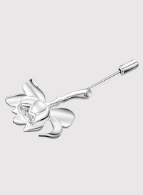 Vyriško švarko segtukas