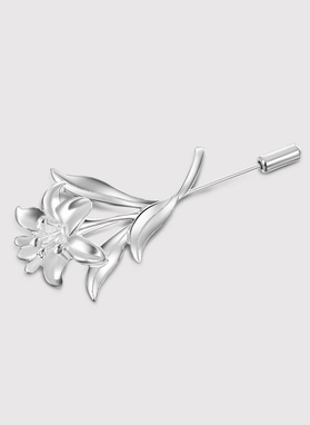 Vyriško švarko segtukas