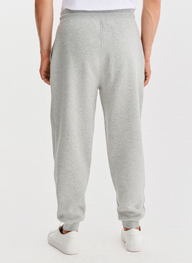 Pilkas vyriškas treningas su bluzonu su gobtuvu