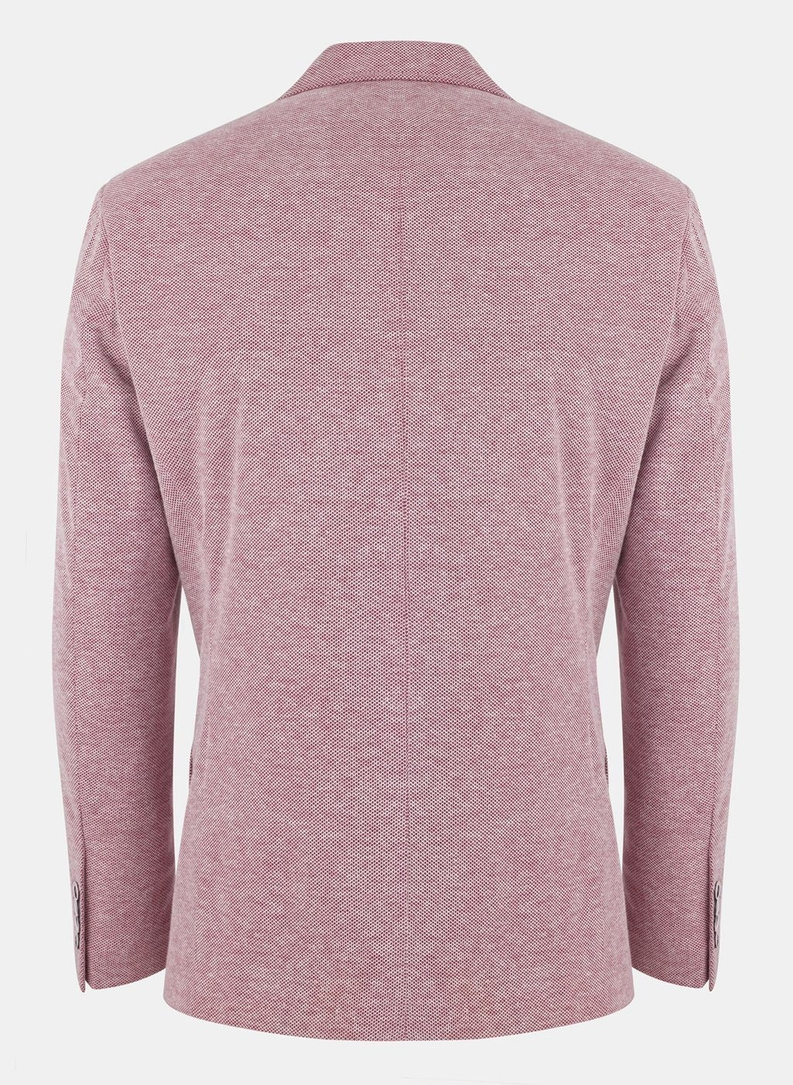 Marynarka męska TIEN PLM-3X-249-W