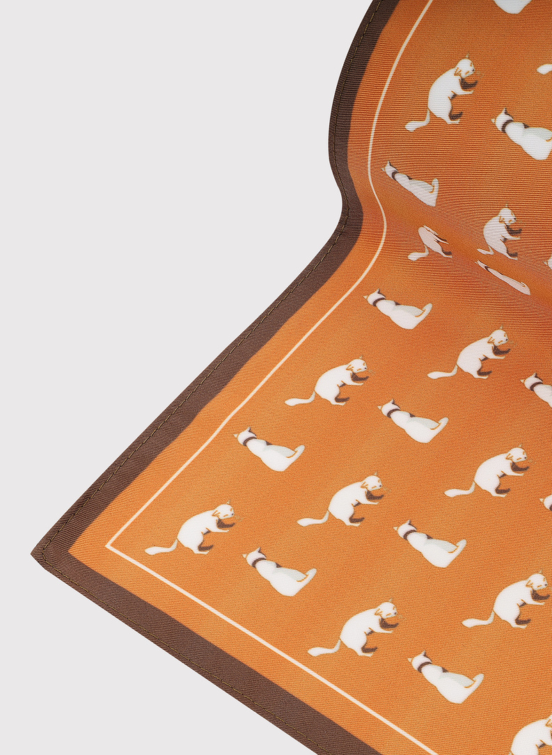 Oranžinė kišeninė nosinaitė su kačiukais