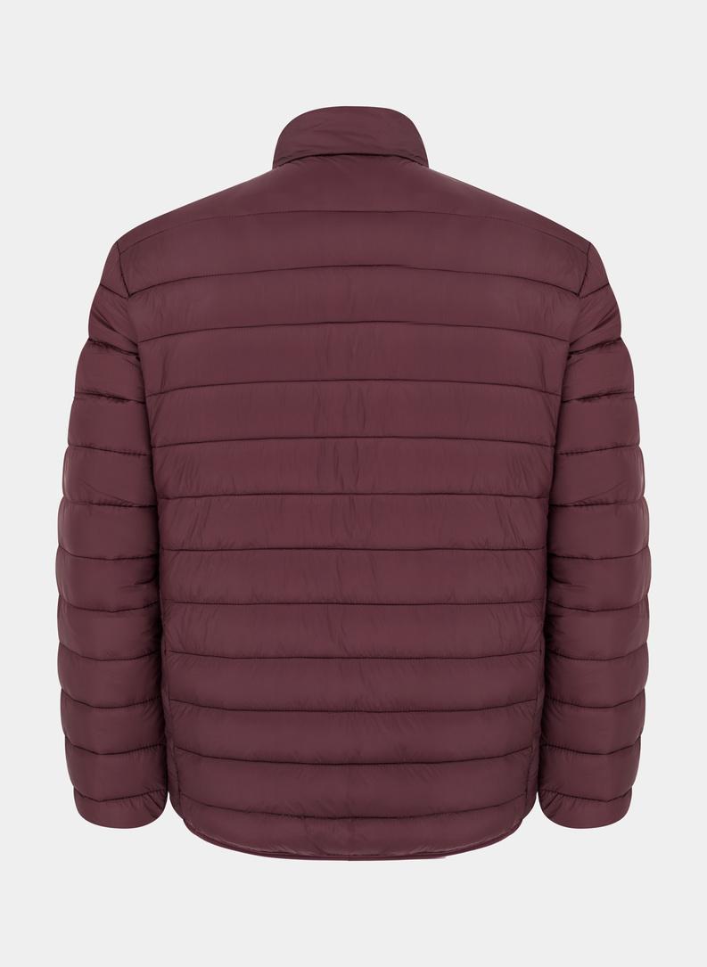 Striukė PETROPOLIS P20WF-5X-013-G