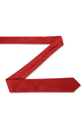 Vyriškas kaklaraištis PLM-KX-446-X