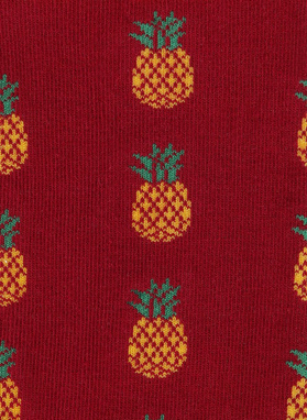 Skarpetki w ananasy DTK-SX-196-X