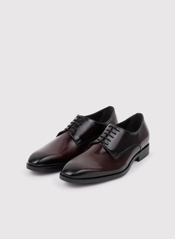 Vyšninės spalvos elegantiška vyriška avalynė