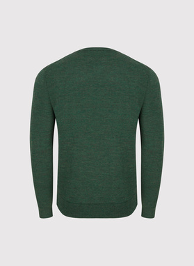 Žalias vyriškas megztinis su vilna