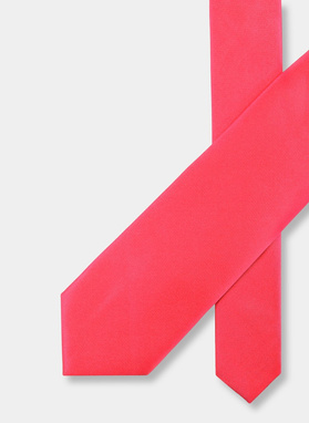 Vyriškas kaklaraištis PLM-KX-605-R