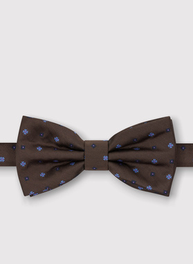 Bronzinė vyriška peteliškė