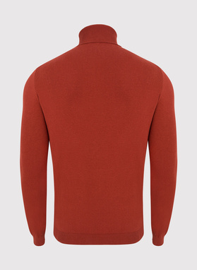 Rudas vyriškas golfas P22WF-2X-008-P-0