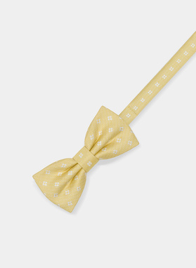 Peteliškė P20SF-MX-013-Y