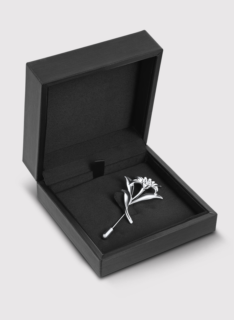 Vyriško švarko segtukas