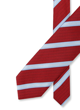 Vyriškas kaklaraištis PLM-KX-489-X