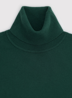 Tamsiai žalias vyriškas golfas be raštų