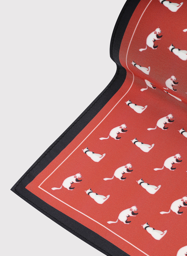 Raudona kišeninė nosinaitė su kačiukais