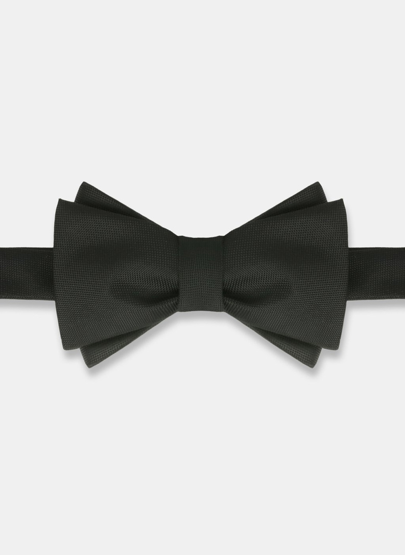 Peteliškė PLM-MX-289-C