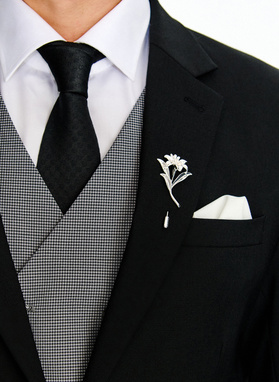 Vyriško švarko segtukas