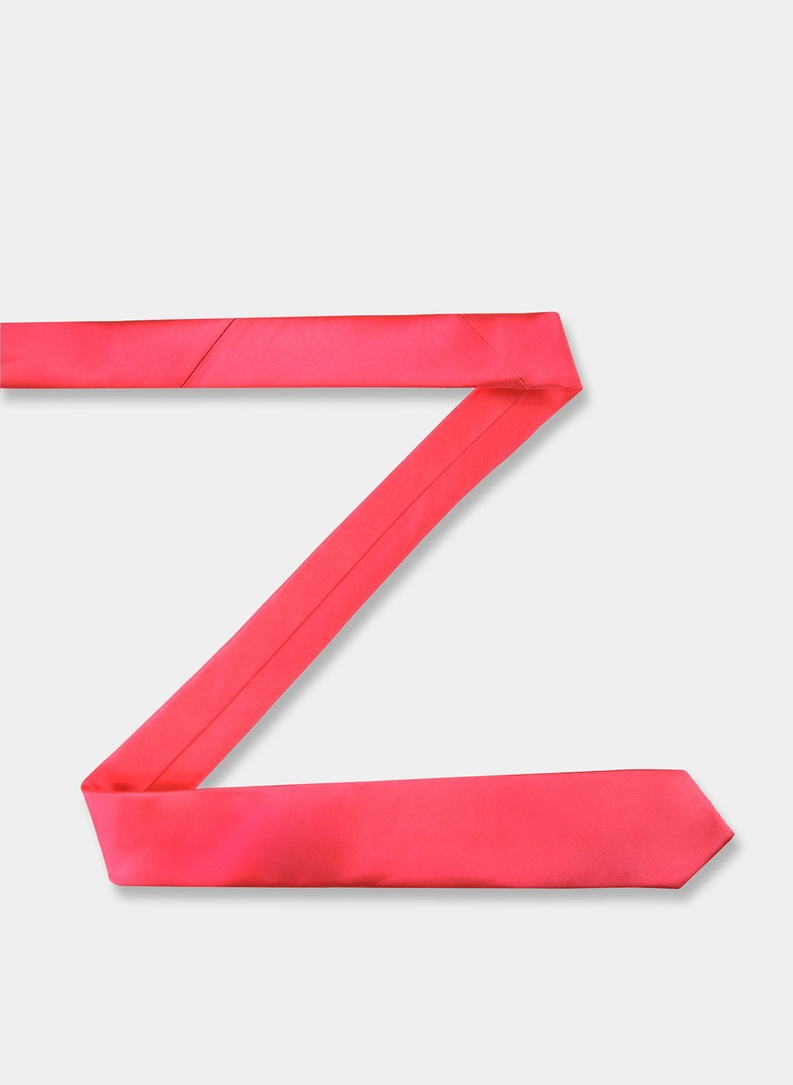 Vyriškas kaklaraištis PLM-KX-605-R