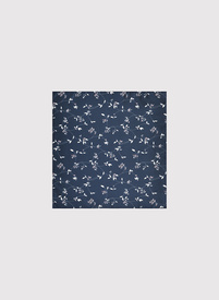 Vyriška kišeninė nosinaitė