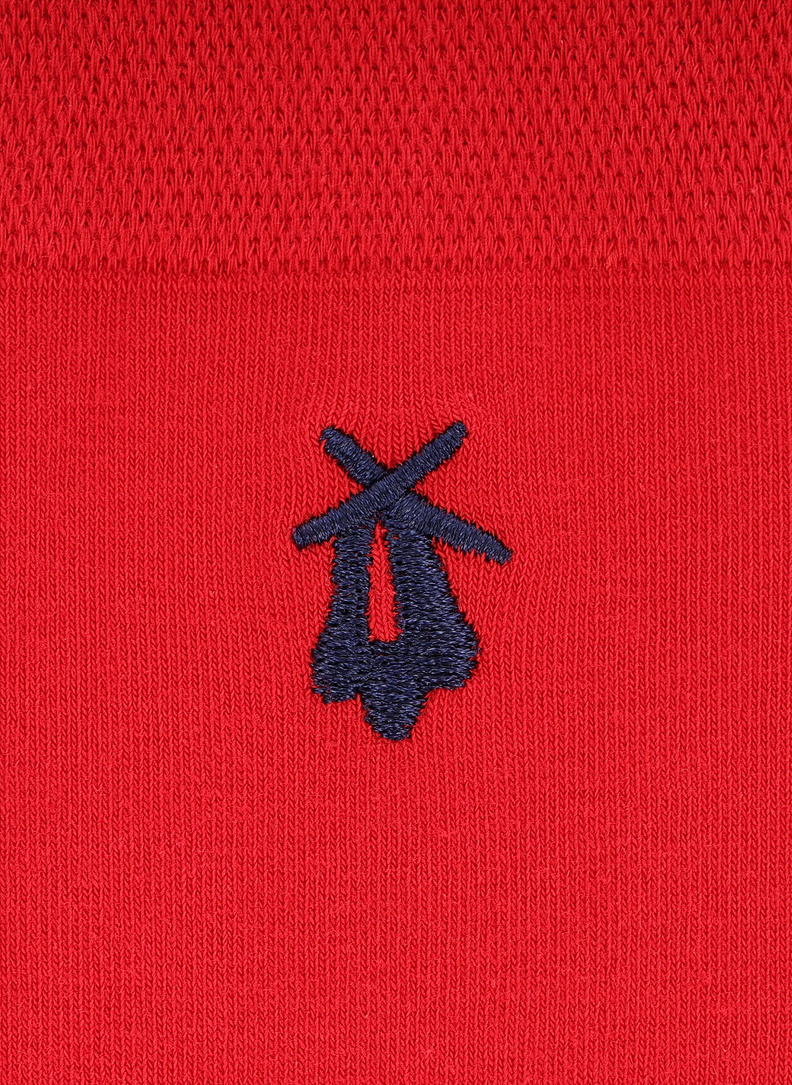 Vyriškų kojinių švenčių raštais komplektas