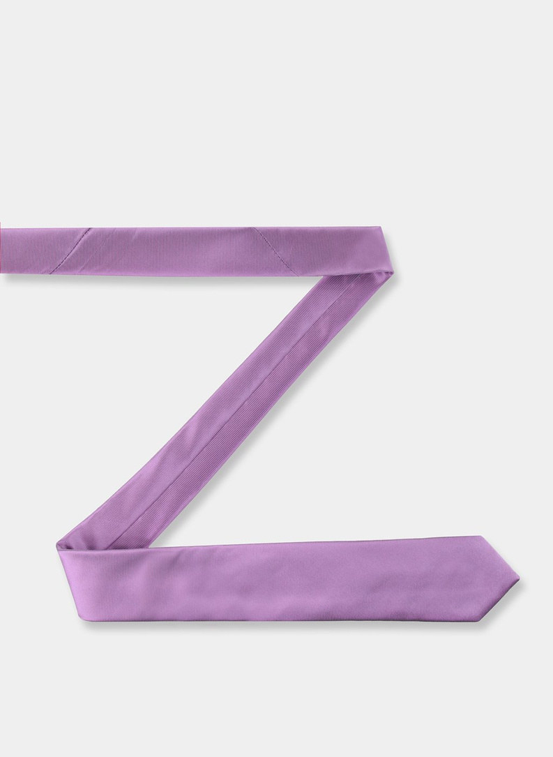 Vyriškas kaklaraištis PLM-KX-610-F