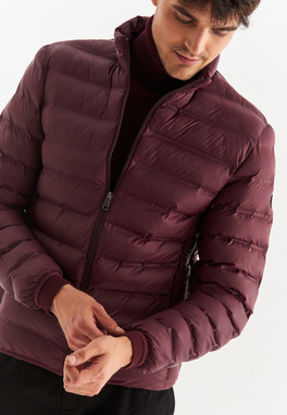 Striukė PETROPOLIS P20WF-5X-013-G