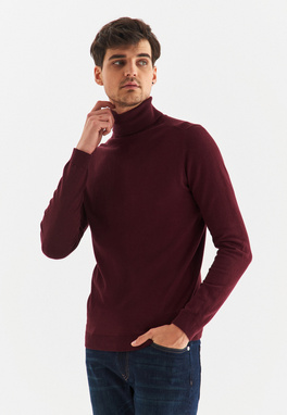 Vyšninis vyriškas golfas P22WF-2X-008-D-0