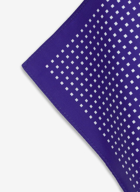 Kišeninė nosinaitė PLM-HX-289-F