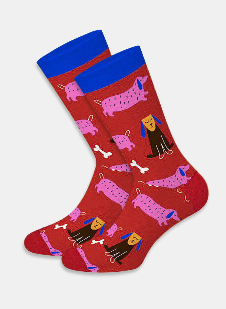 Kojinės  DTS-SX-405-W