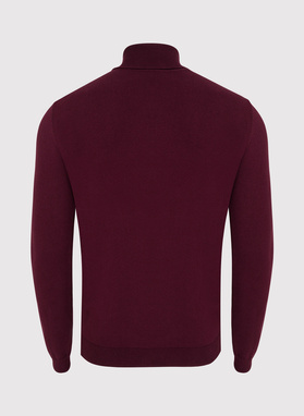 Vyšninis vyriškas golfas P22WF-2X-008-D-0